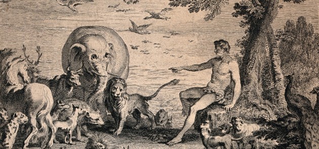 Are We Just Animals? A Tempting Delusion